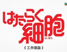 TXB【工作细胞】1-14集完 粤语中字