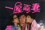 一屋两妻.Happy.Bigamist.1987.国粤双语中字.1080P.BluRay[17.5G]