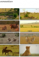 2010【大發雌威】粤英中字 1-3集 720P MKV