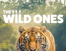 [纪录片] 野性生灵.The.Wild.Ones.2025.英语中英双字.1080P(全6集)...