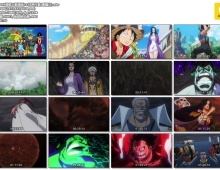 2019【海贼王剧场版14 狂热行动】粤国日三语 MKV 1080P
