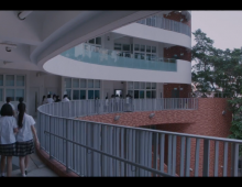 寄了一整个春天