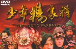【少年杨家将】dvd 粵国