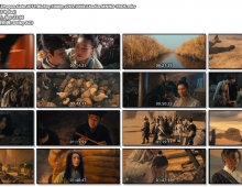 2011【龙门飞甲】粤国中字 X265 1080p MKV