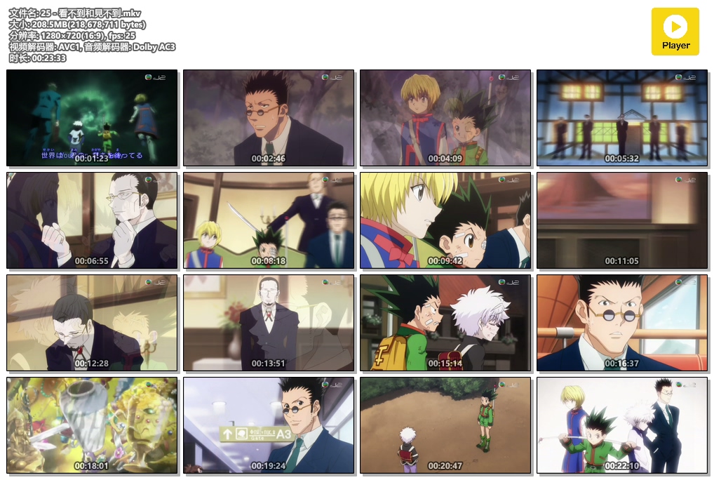 J2【全职猎人 2011重制版】1-148集 粤日中字 MKV